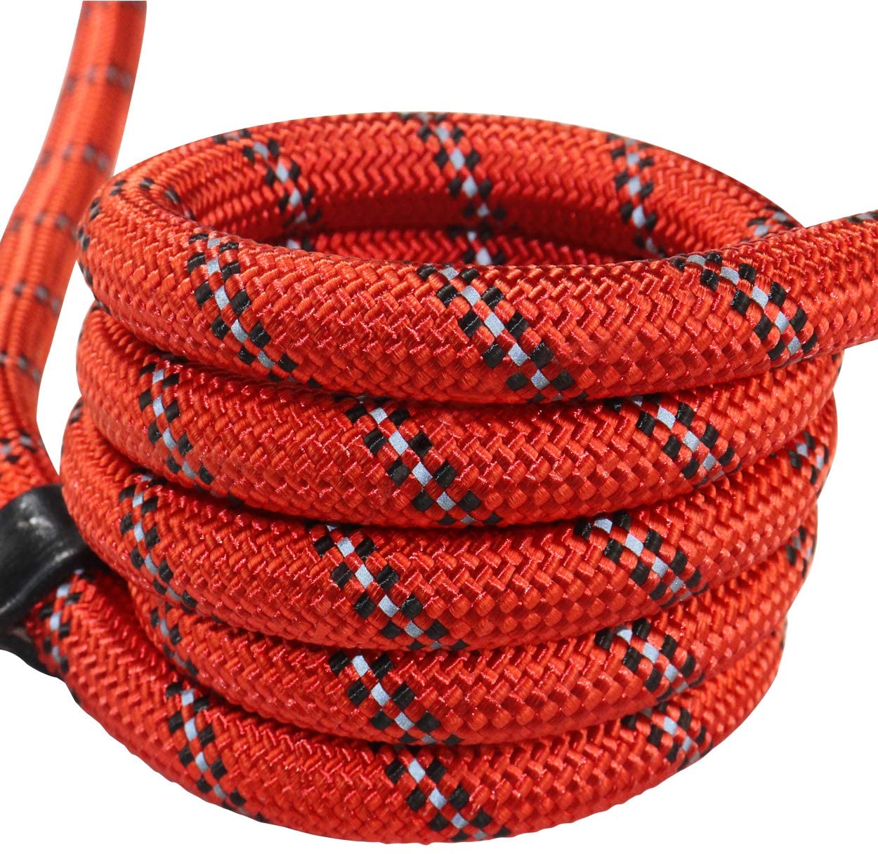 basic nylon dog leashes 5ft rope leash for dog