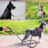 pet lead leash no collar needed 1.2m portable low price dog leash rope