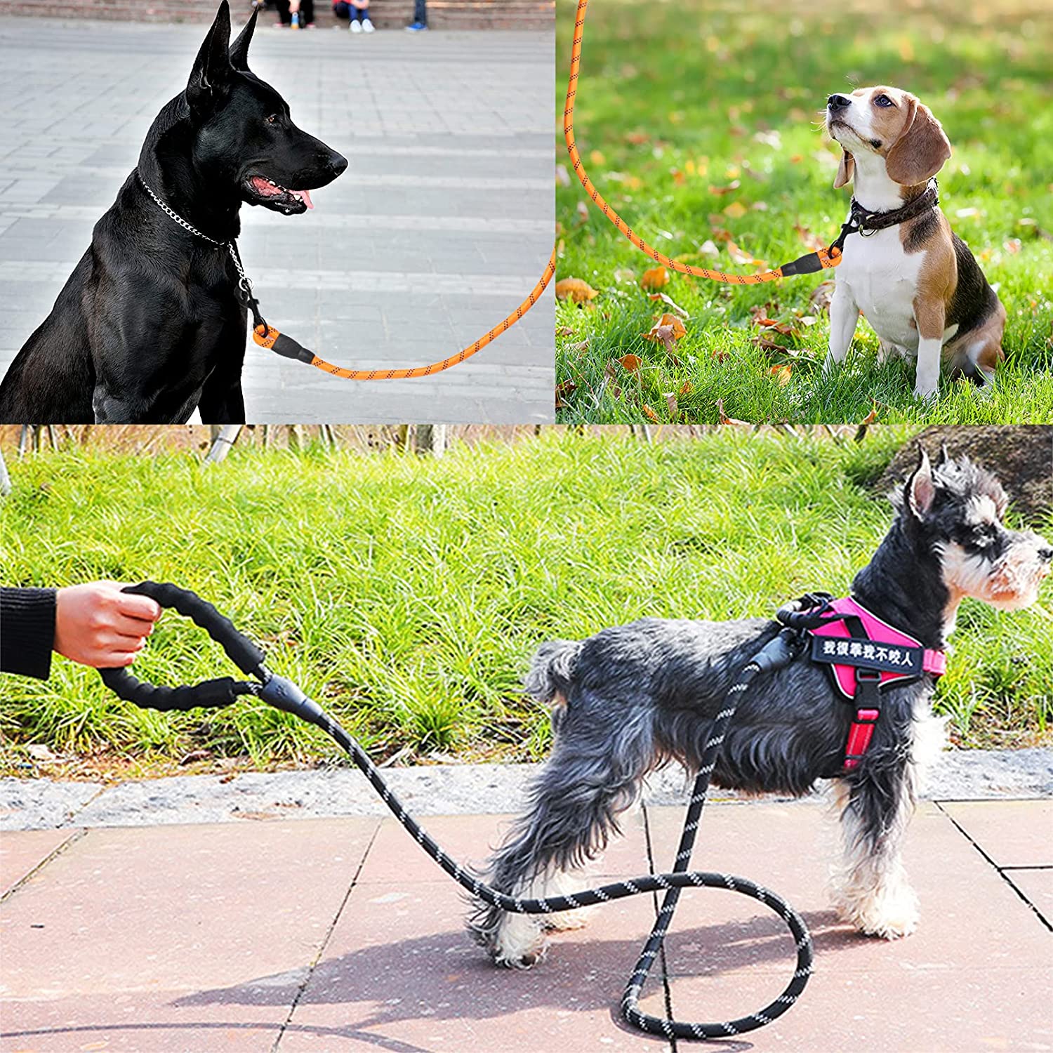 pet lead leash no collar needed 1.2m portable low price dog leash rope