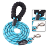 Soild color blue nylon material dog leash 8mm dog leashes for small dogs