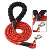 2021 fashion attractive design fashion dog leash adjustable length double leash 