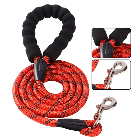 2021 fashion attractive design fashion dog leash adjustable length double leash 