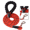 2021 fashion attractive design fashion dog leash adjustable length double leash 